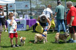 Paws in the Park